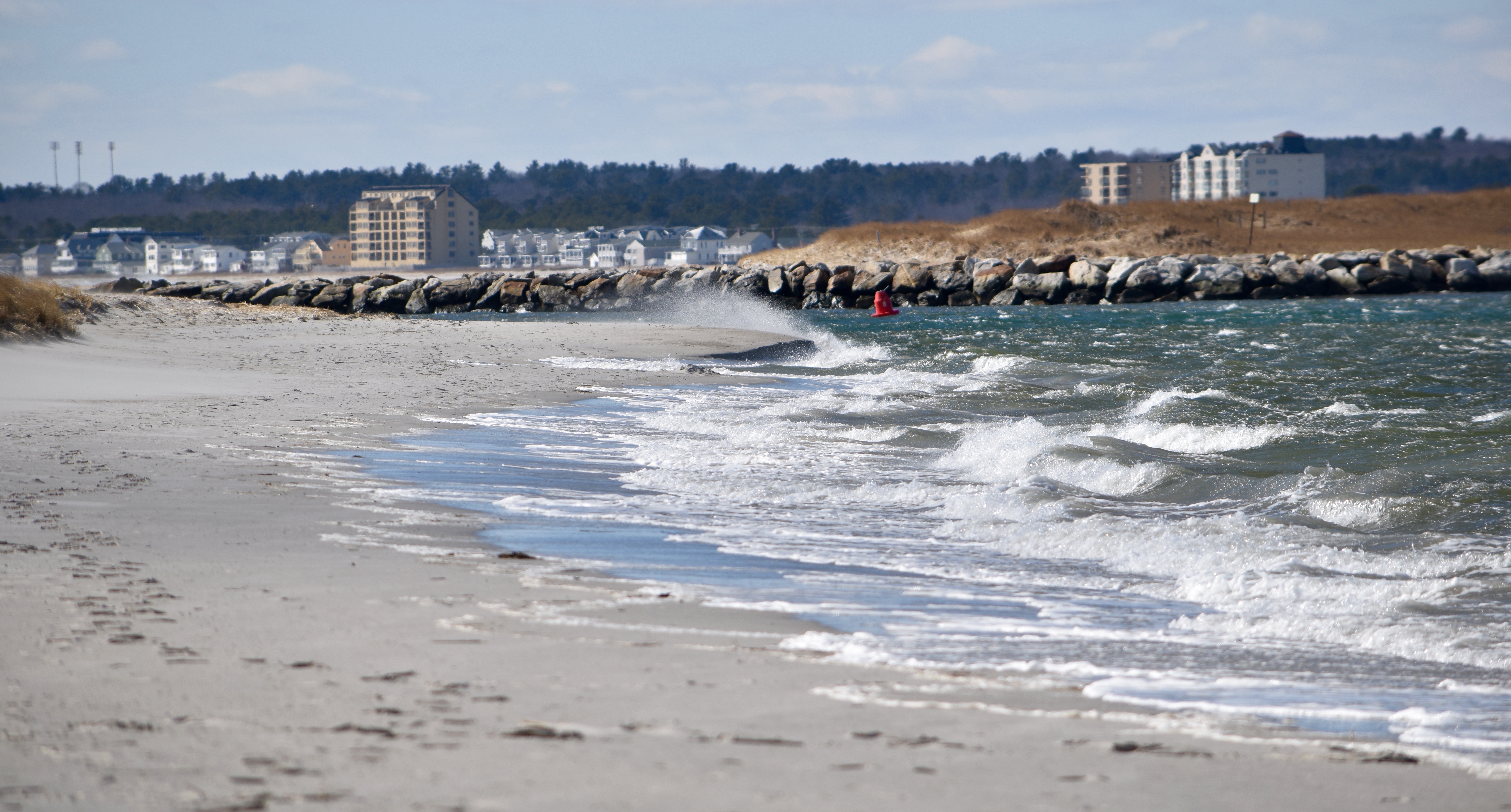 Photo Mar 02, 12 00 09 PM